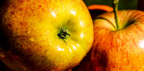 求个一手货源的在线ddos网页端